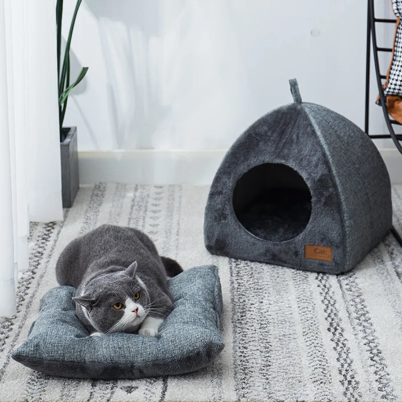 Cats Cave House | Indoor
