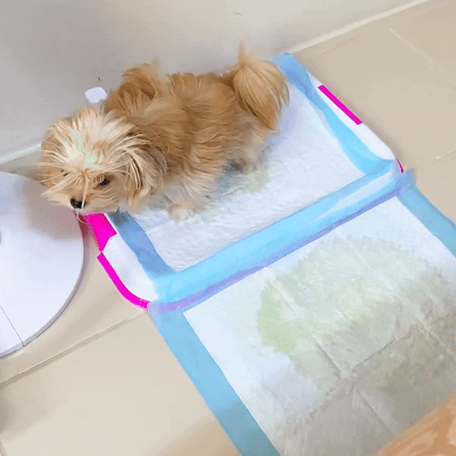 Puppy Pads Potty Training Pads, Dog Puppy Pads with Odor Blocking