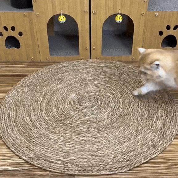 Katten krabmat Beschermt Meubels, Dubbele Functie Rustmat