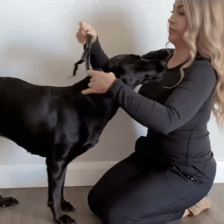 Anti-Bark Collar Safe Without Shock, Ultrasonic & Vibration, USB Rechargeable