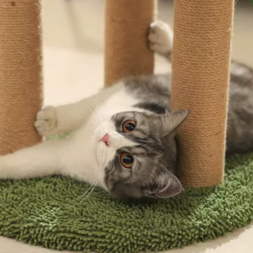 Krabpaal voor Katten | Jungle Avontuur Toren
