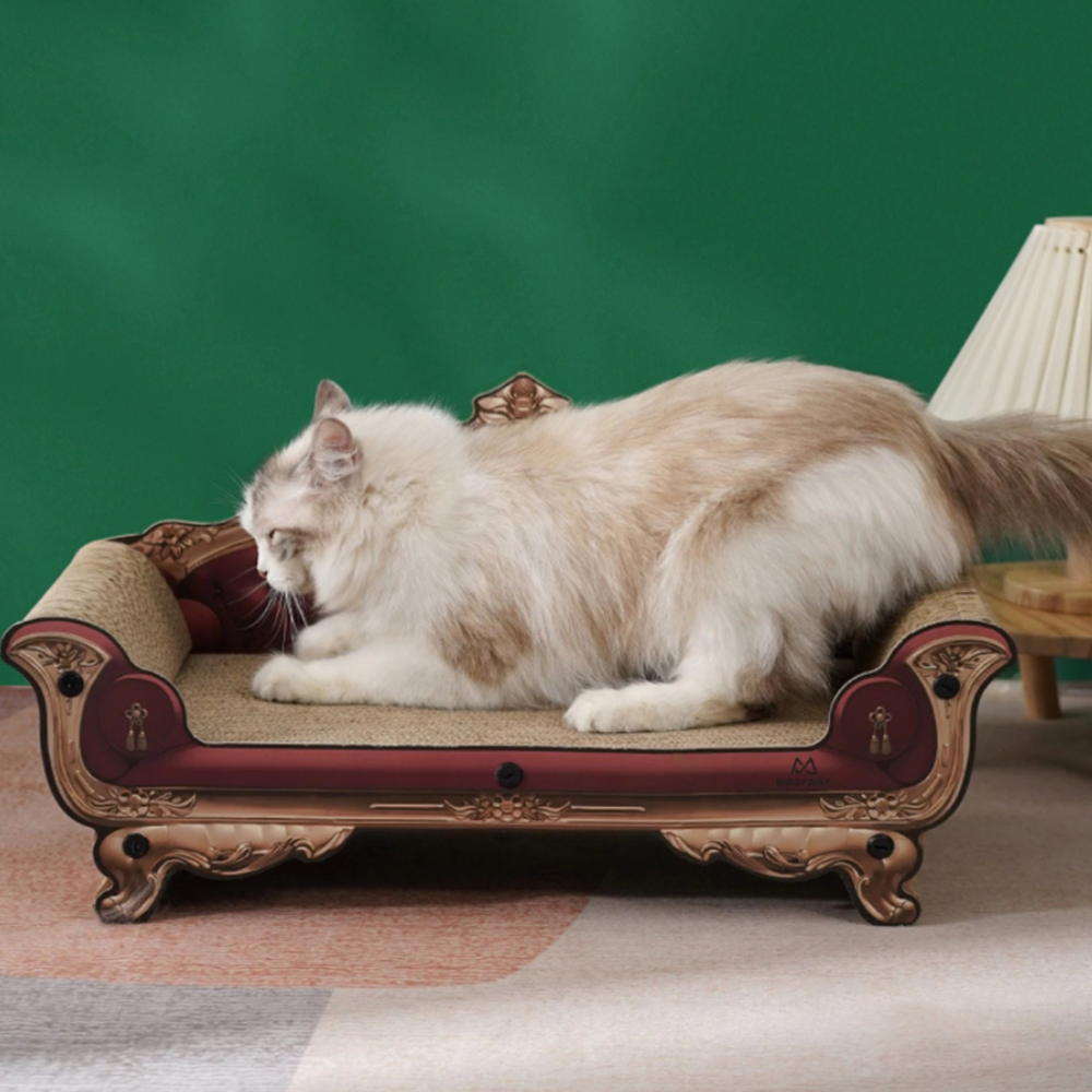 Katten Krabvriendelijk Bed | Moderne Lounger