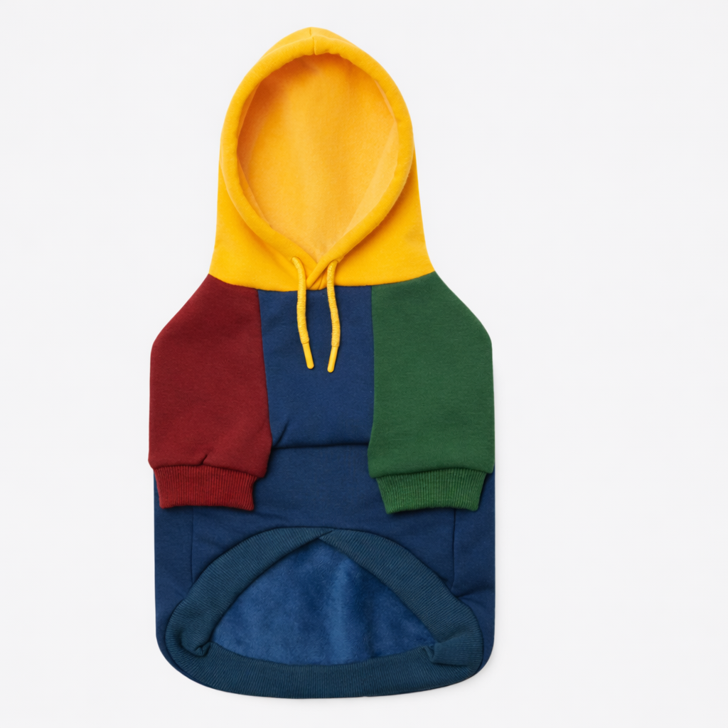 Multicolored Dog Hoodie with Color Blocks