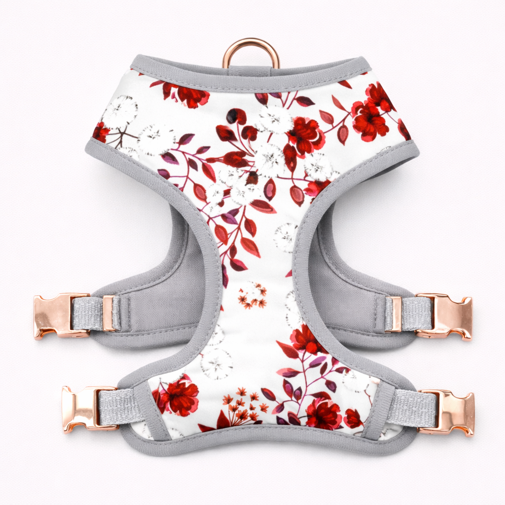 Dog Reversible Garden Harness | Floral