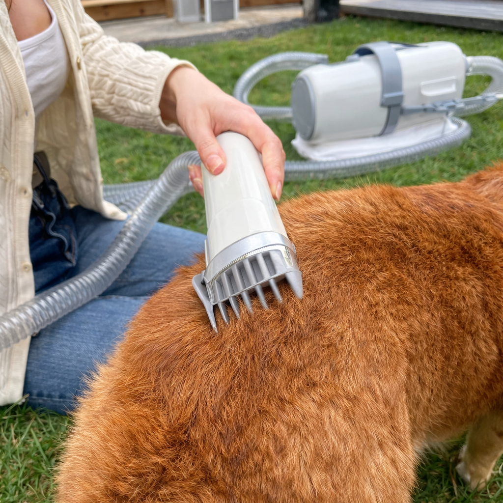 Pet Grooming Set With Vacuum System