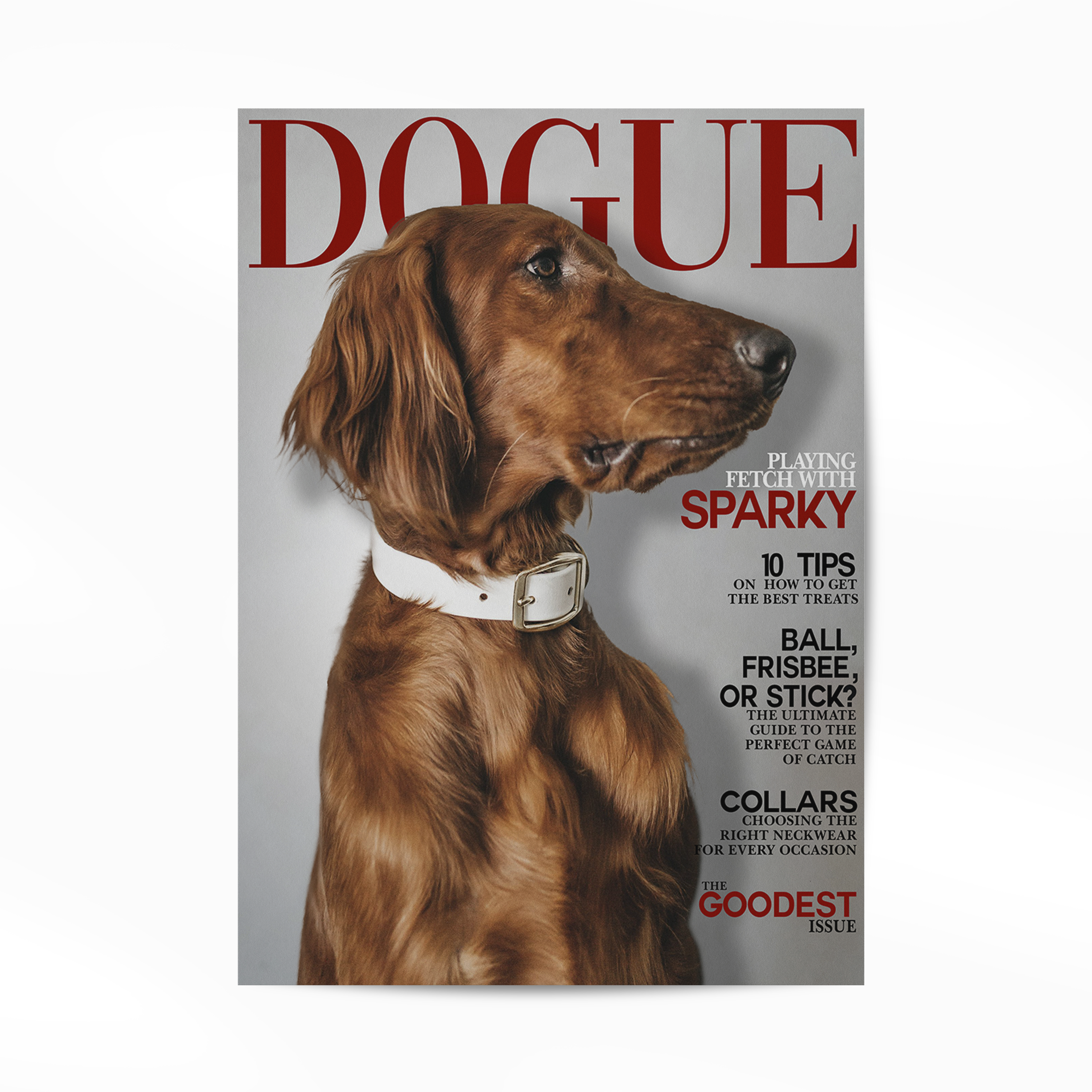 Gepersonaliseerde Huisdier Poster Jouw Kat of Hond op Magazine Cover