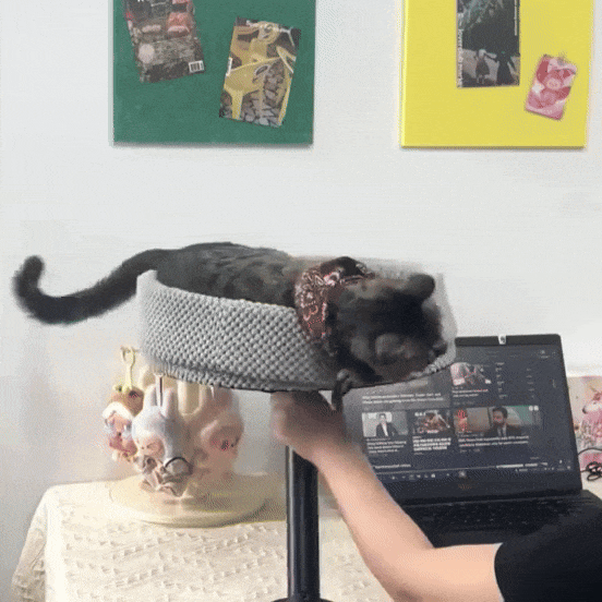 Katten Bureaubed | Slaapplek