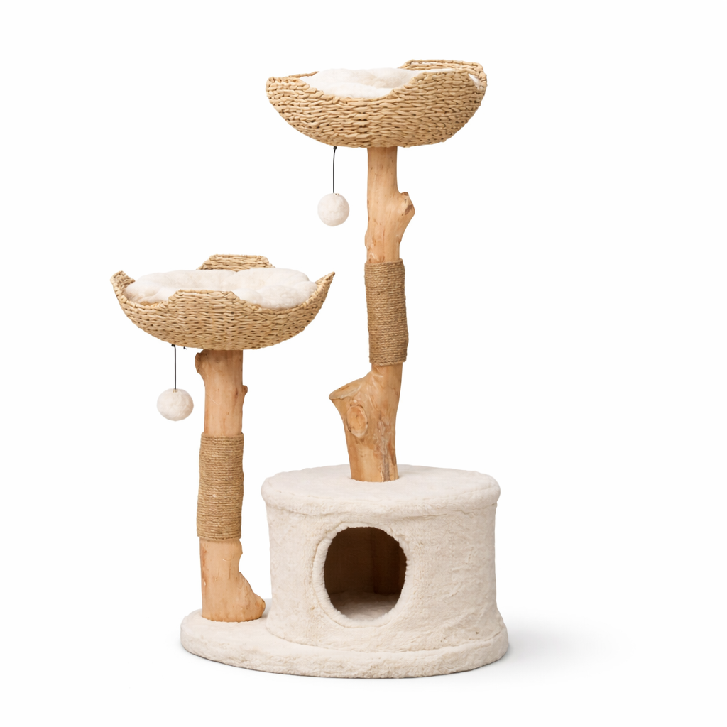 Grote Katten Krabboom Met Houten Frame