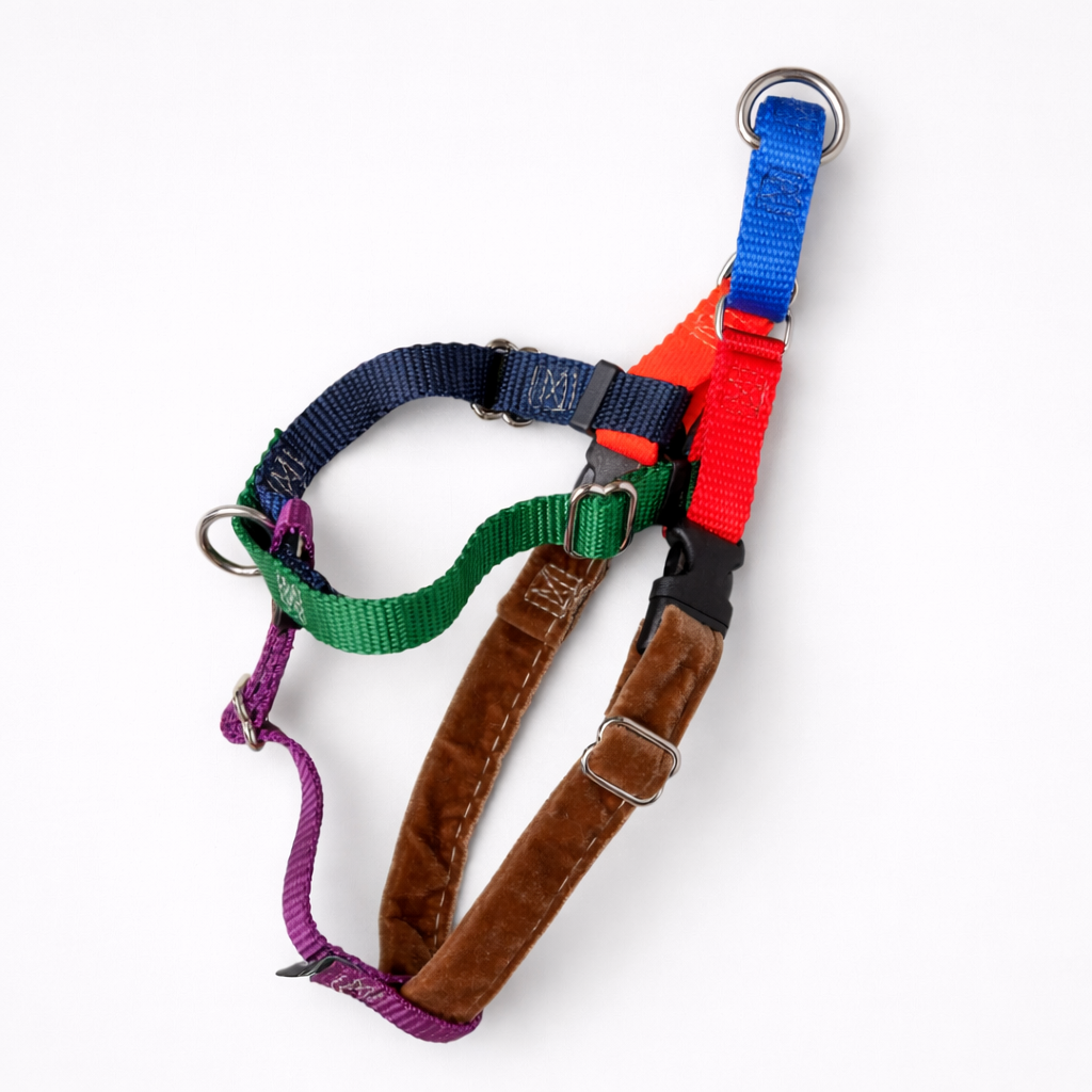 Dog No Pull Harness | Spice