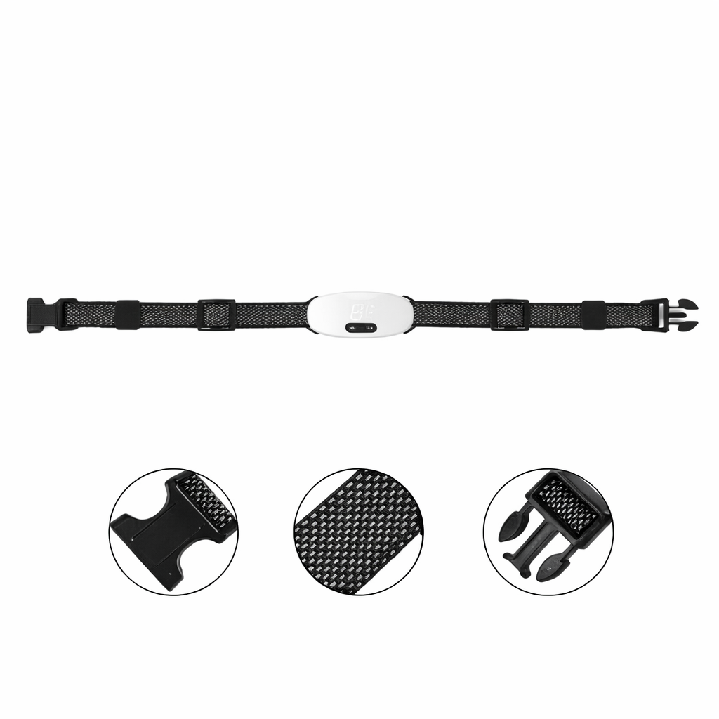 Dog Collar For Small Dogs | Bark Control