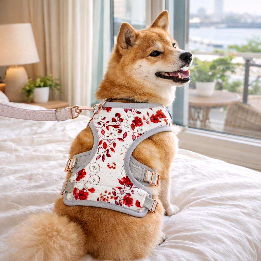 Dog Reversible Garden Harness | Floral
