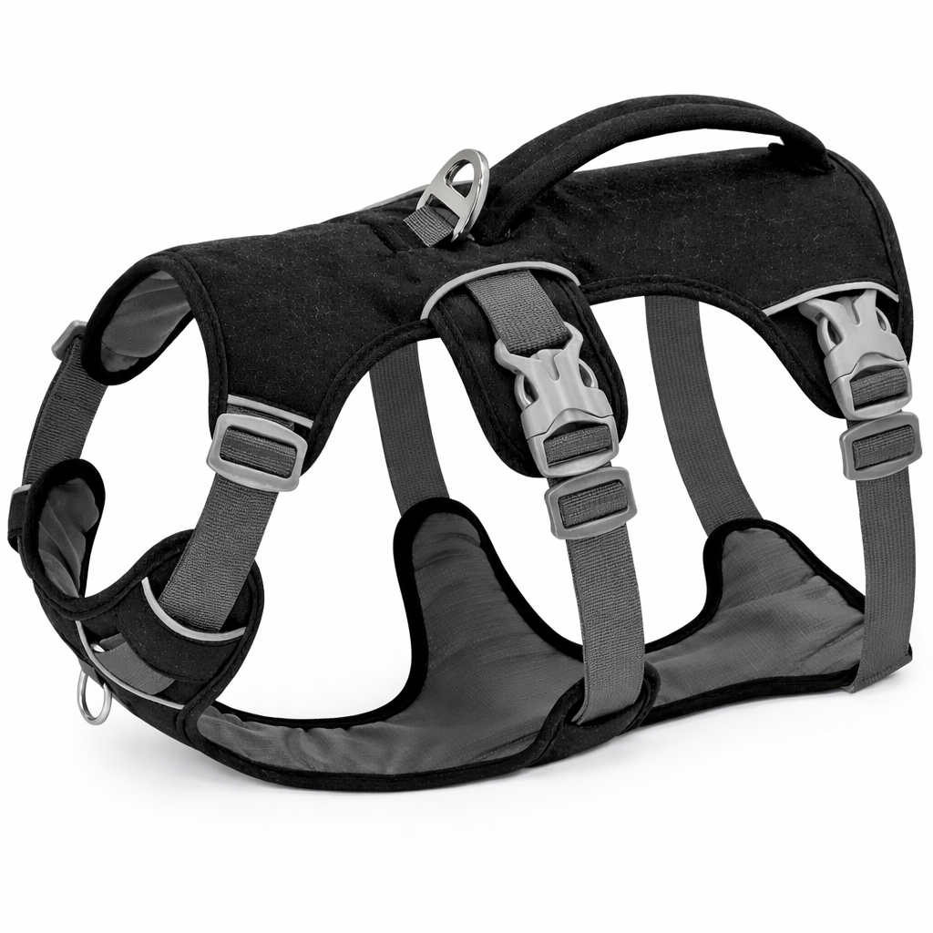 Dog Harness With Three Attachment Points