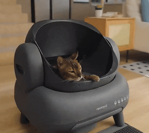 Automatische Kattenbak met Geurverwijdering en Appfunctie