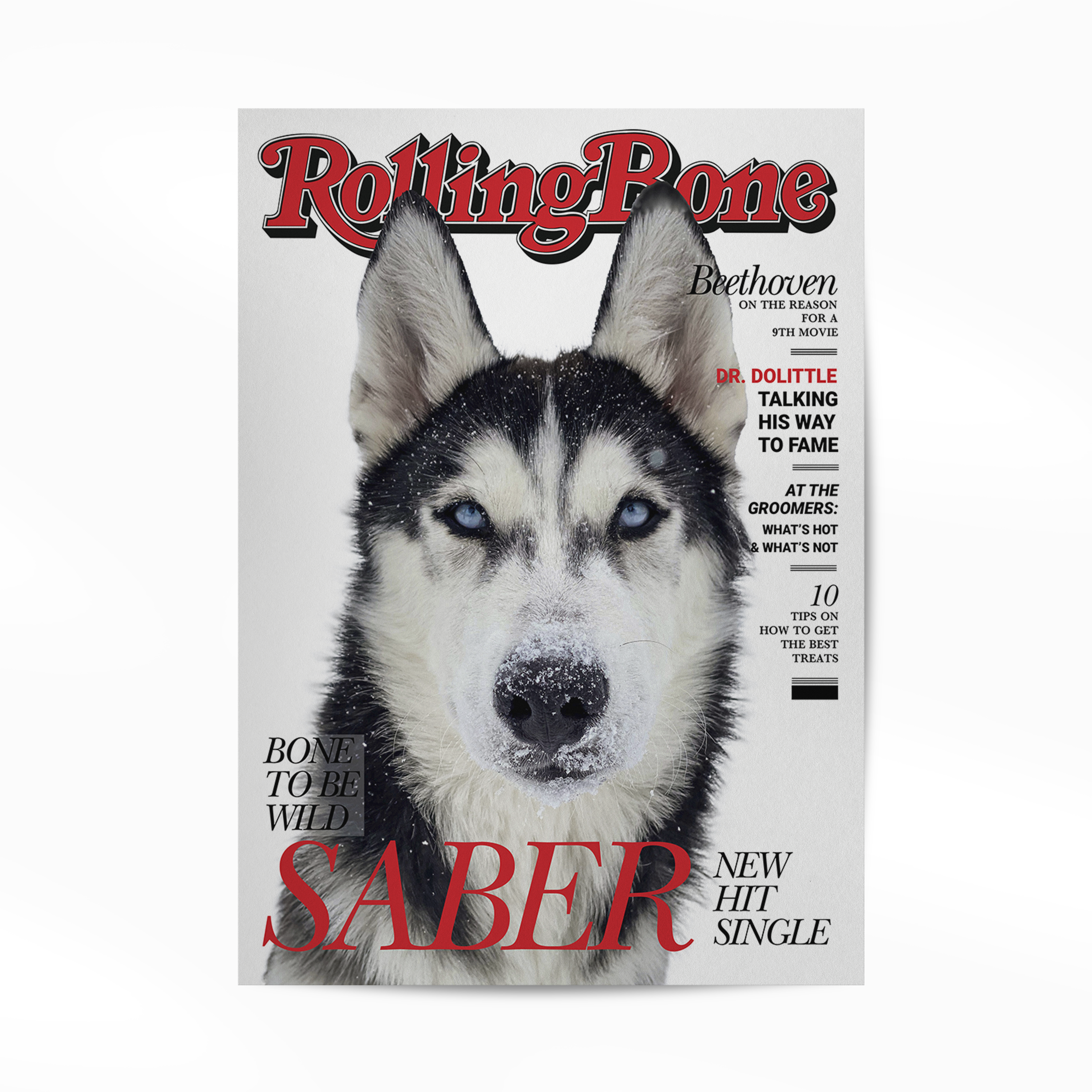 Gepersonaliseerde Huisdier Poster Jouw Kat of Hond op Magazine Cover