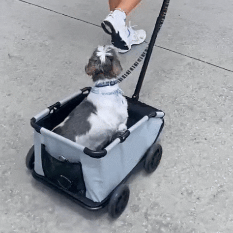 Mini Buggy Voor Huisdieren Inklapbare Buggy Met Comfortabele Zitruimte