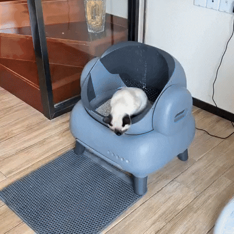 Automatische Kattenbak met Geurverwijdering en Appfunctie