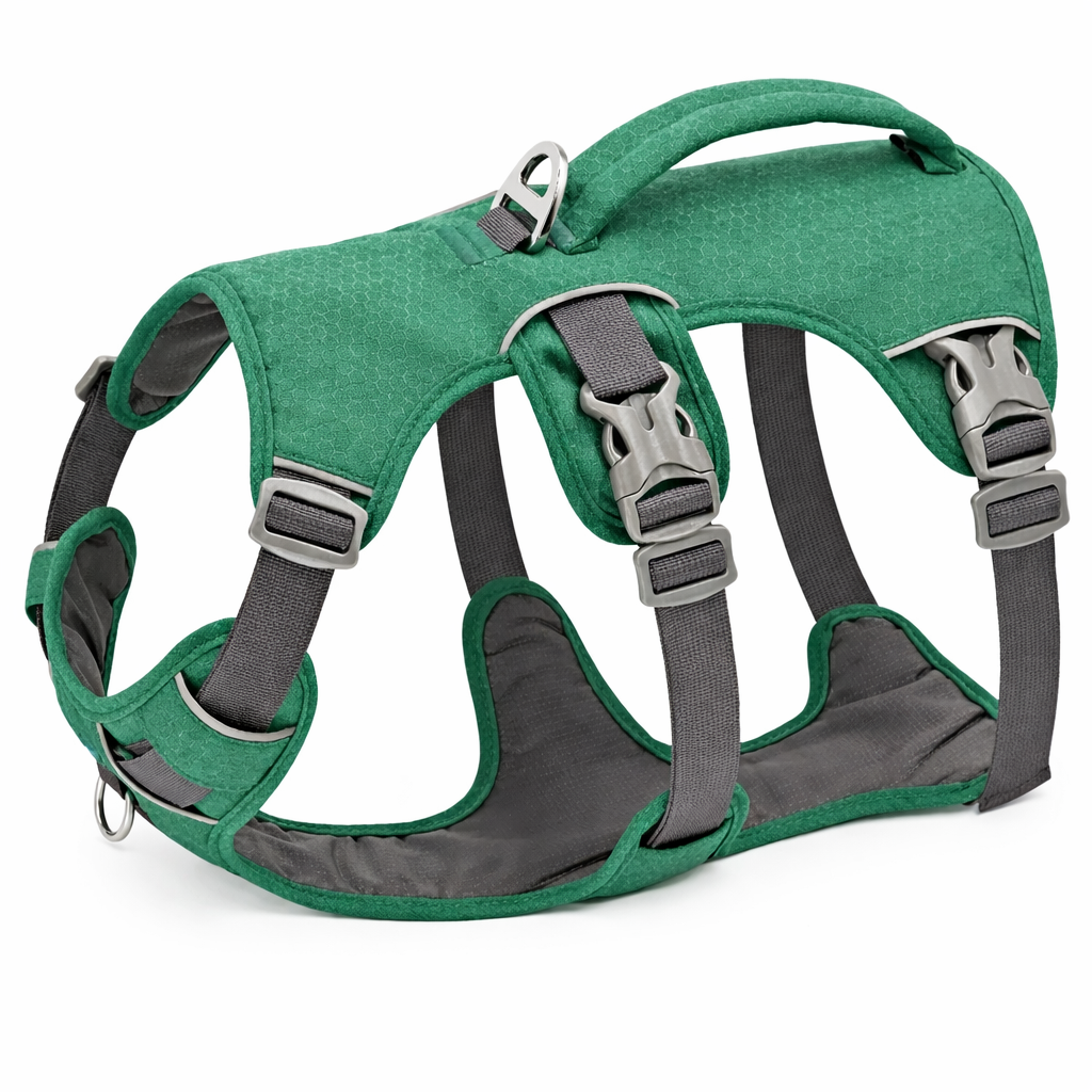 Dog Harness With Three Attachment Points