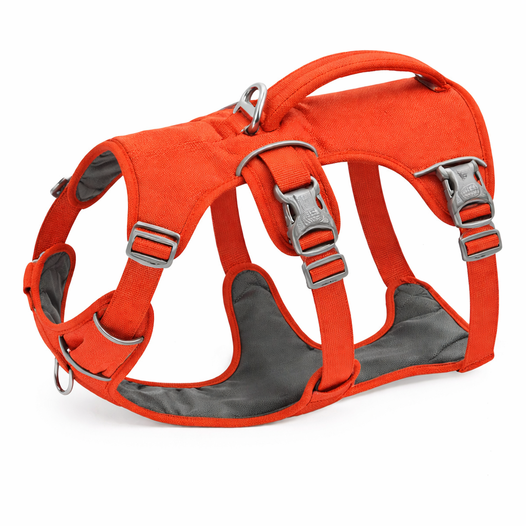 Dog Harness With Three Attachment Points