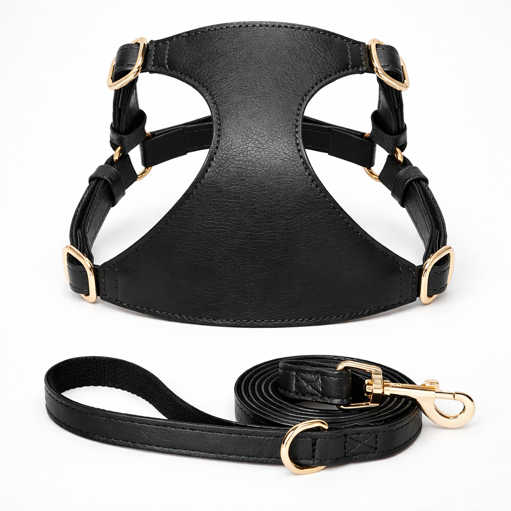 Klassiek Verstelbaar Hondenharnas Voor Dagelijkse Wandelingen