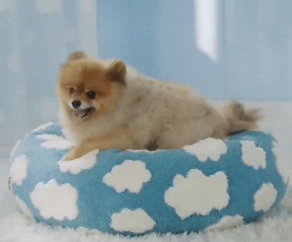 Katten Donutbed | Bed voor Katten en Kleine Honden