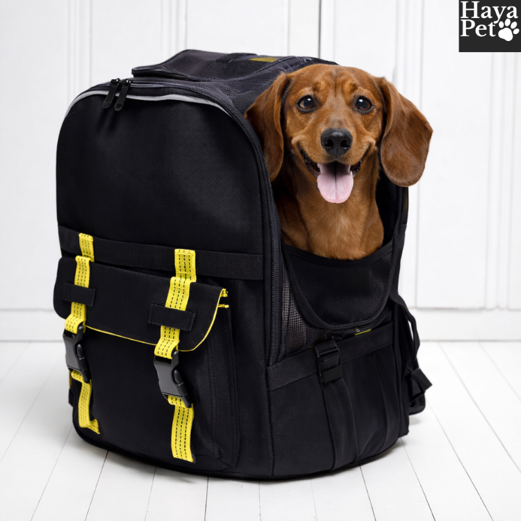 Hondendraagrugzak Met Ventilatieopeningen En Binnenlijn