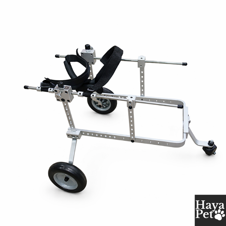 Verstelbare Hondenrolstoel Met Voorste Ondersteuning