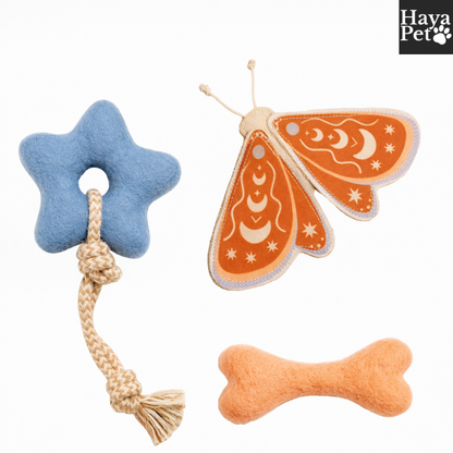 3-Delige Hondenspeelset Voor Trek-, Apporteer- En Kauwspel