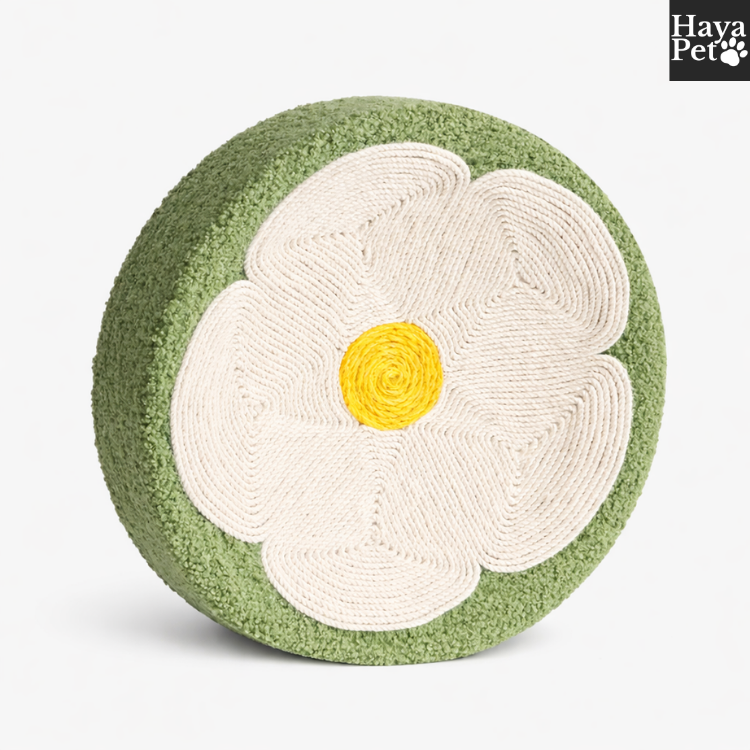 Komvormige Krabmat Voor Katten