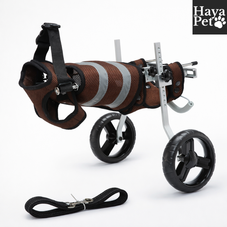 Compacte Hondenrolstoel Voor Achterpoten