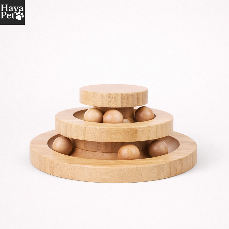 Kattenspeeltje Met Ronde Ballenbaan