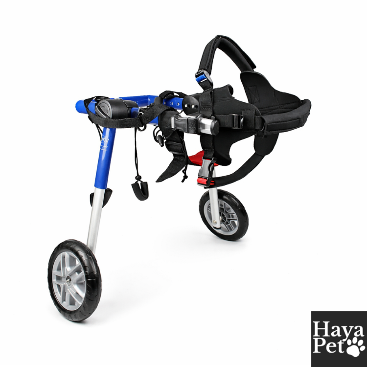 Verstelbare Hondenrolstoel Voor Corgi's