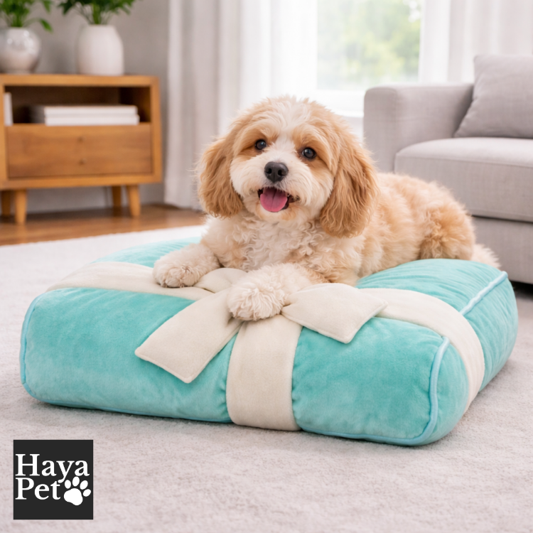 Dog Bed With Raised Edges