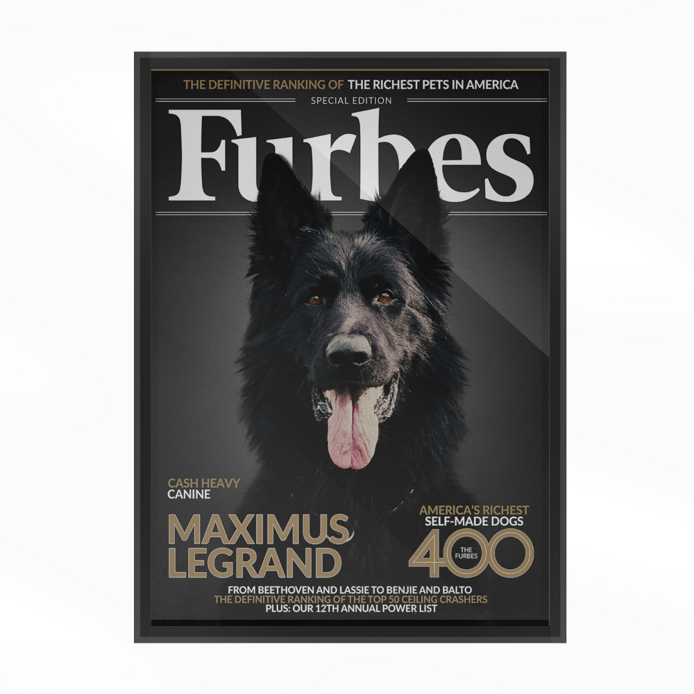 Gepersonaliseerde Huisdier Poster Jouw Kat of Hond op Magazine Cover