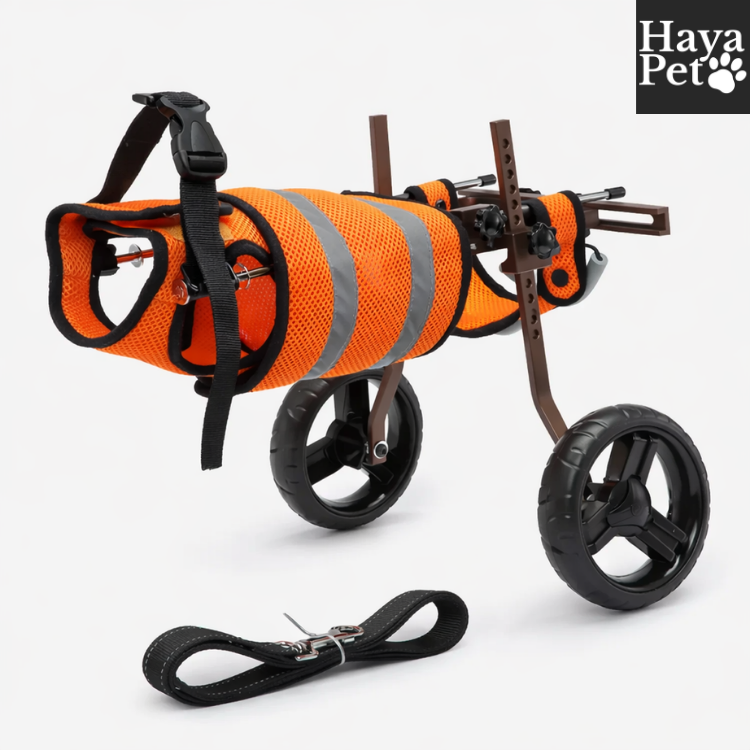 Compacte Hondenrolstoel Voor Achterpoten