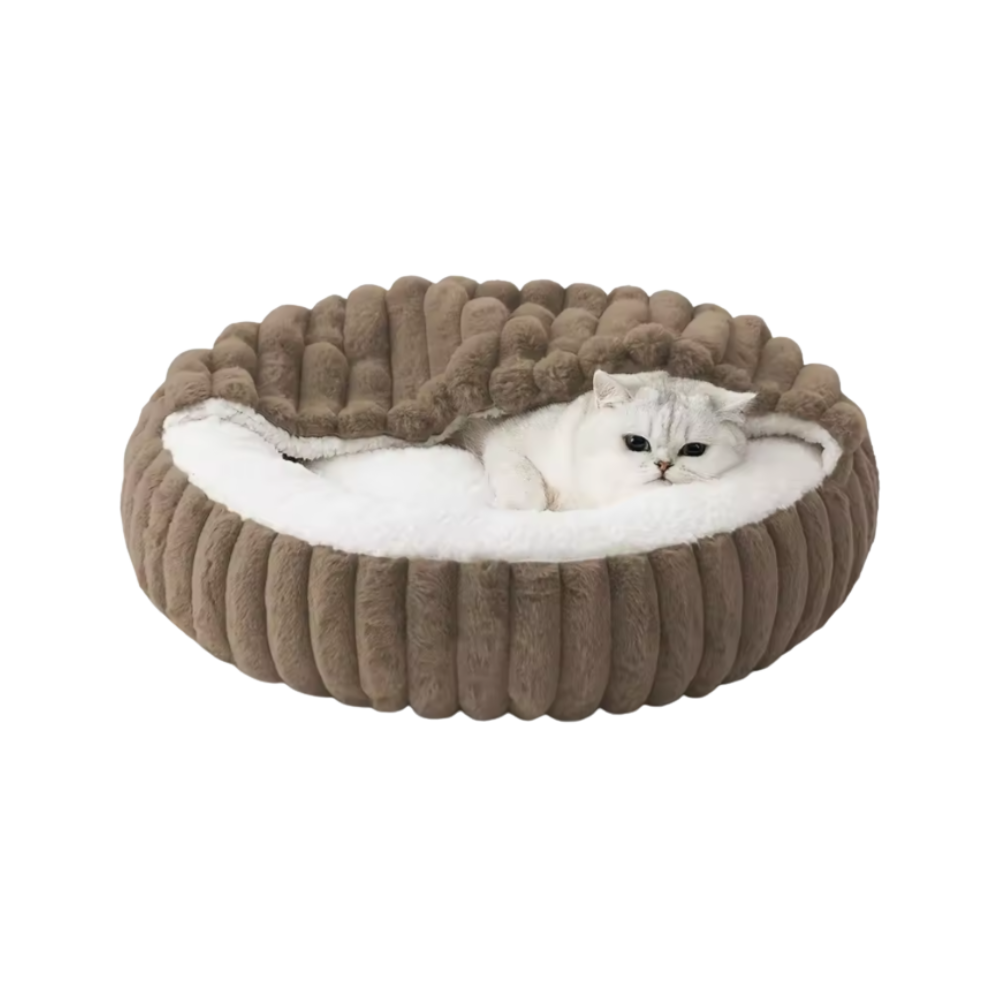 Katten Grotmand | Wasbaar Winternest