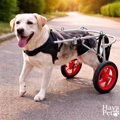 Dog Cart For Large Dogs Rear