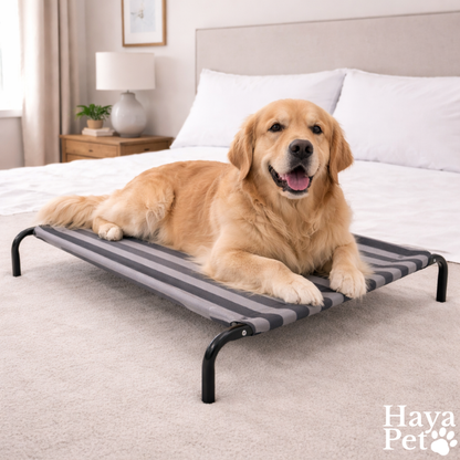 Compacte Hondenligmat Voor Kleine Rassen