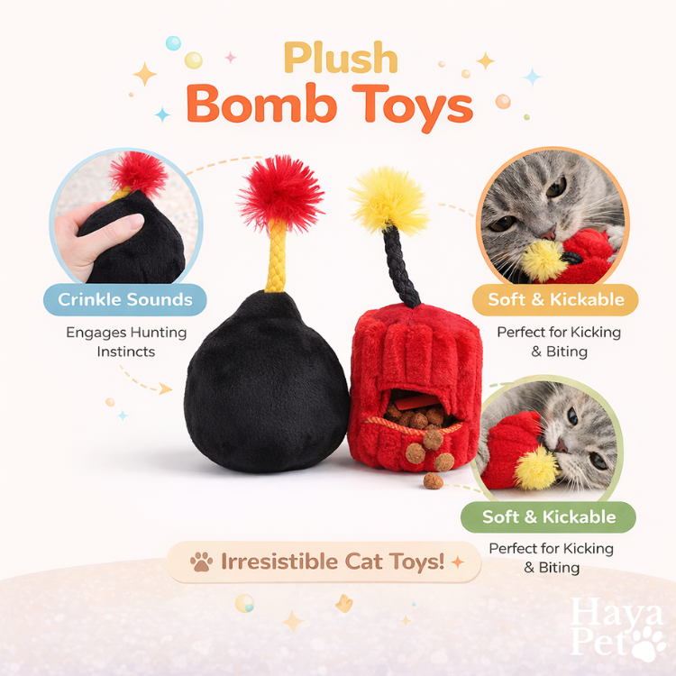 Kattenspeelgoed Set Met Meerdere Speeltjes