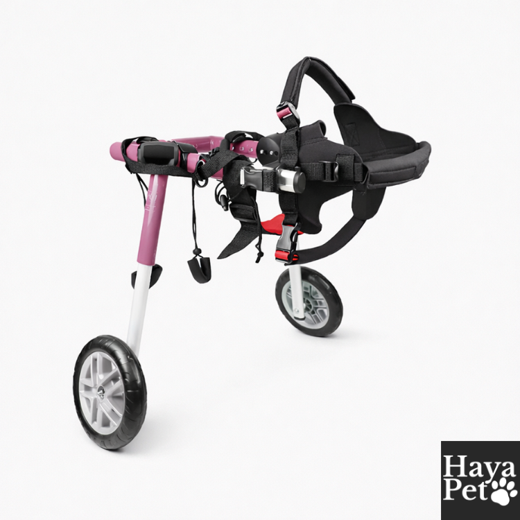 Verstelbare Hondenrolstoel Voor Corgi's