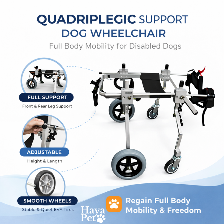 Vierwiel Hondenrolwagen