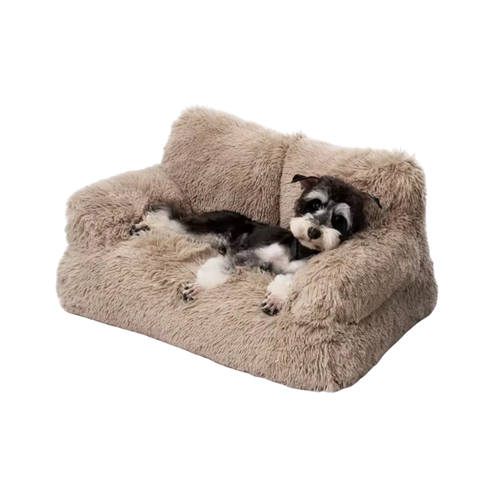 Honden Verhoogd Bed | Wasbare Bank voor Kleine Huisdieren