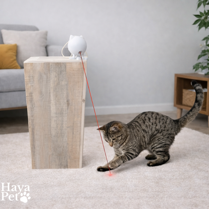 Interactief Laserspeelgoed Voor Katten