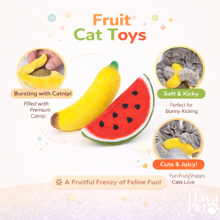 Kattenspeelgoed Met Fruitfiguren