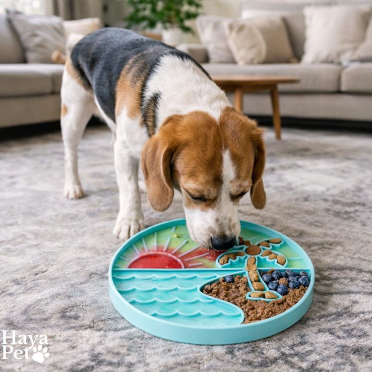 Ronde Likvoerbak Voor Honden Met Opstaande Rand