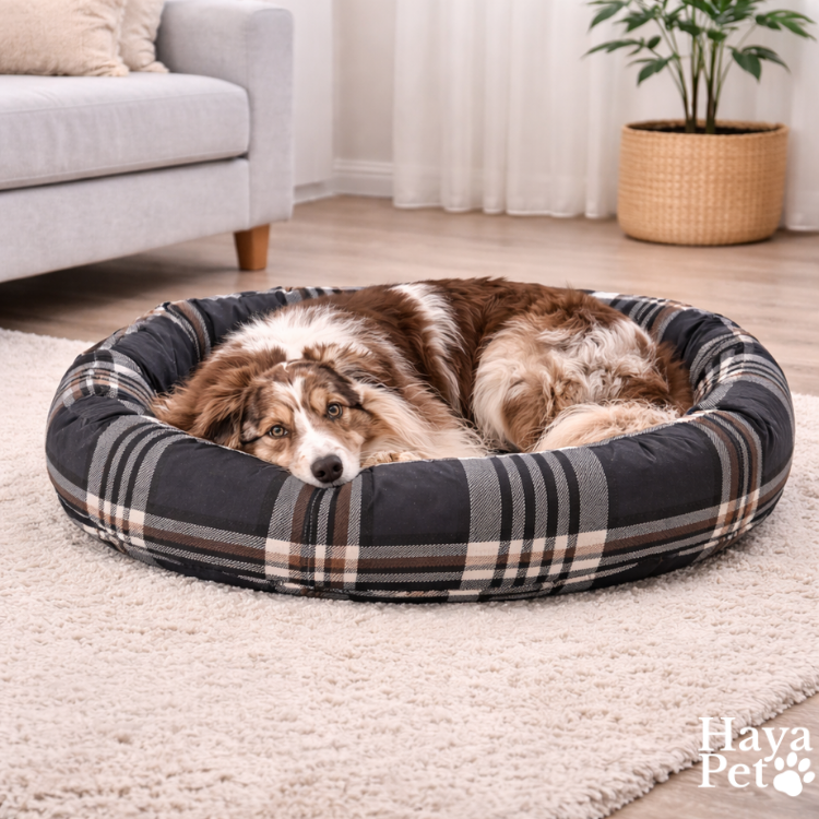 Ovaal Nestbed Voor Honden Met Los Binnenkussen