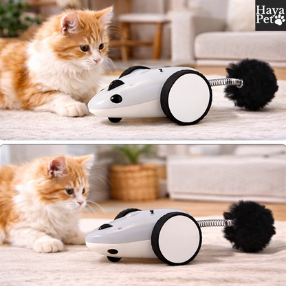 Bestuurbare Speelmuis Voor Katten