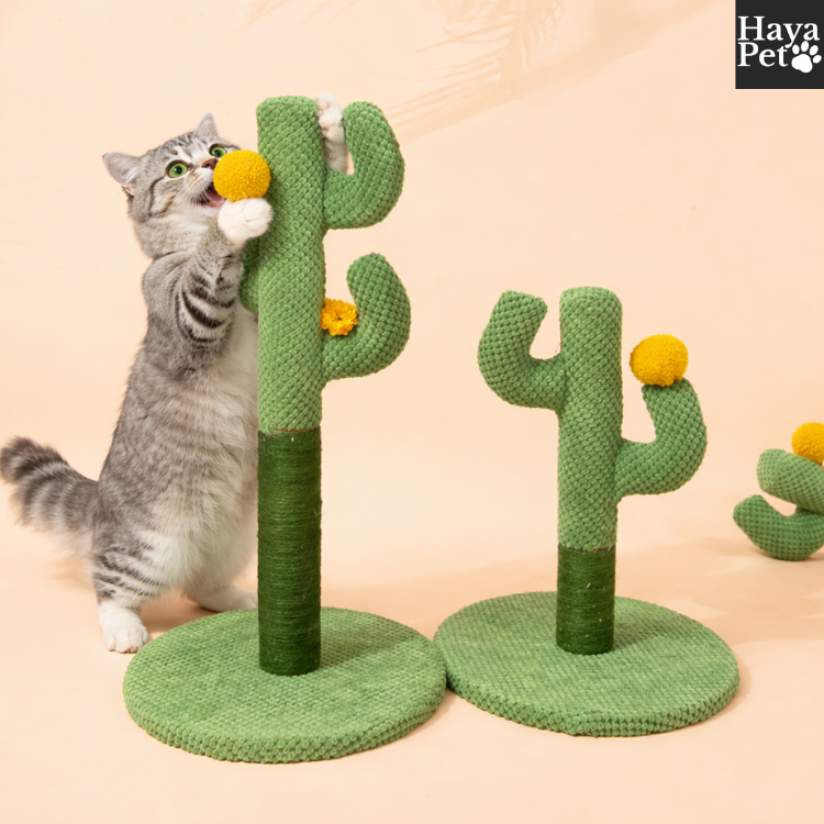 Cactusvormige Krabpaal Voor Katten