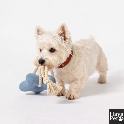 3-Delige Hondenspeelset Voor Trek-, Apporteer- En Kauwspel