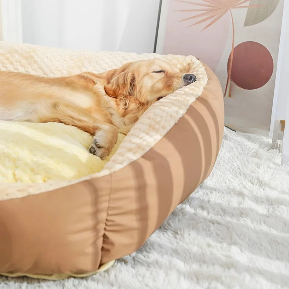 Honden Deep Sleep Bed | Orthopedisch
