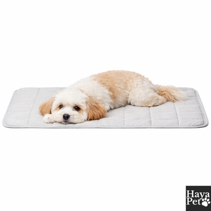 Lichte Hondendeken Voor Warme Dagen